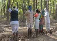 India, Letter to the President on eviction order of the Supreme Court of million tribals from their forest dwellings