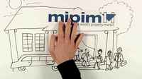 The first year of Anti-Mipimism